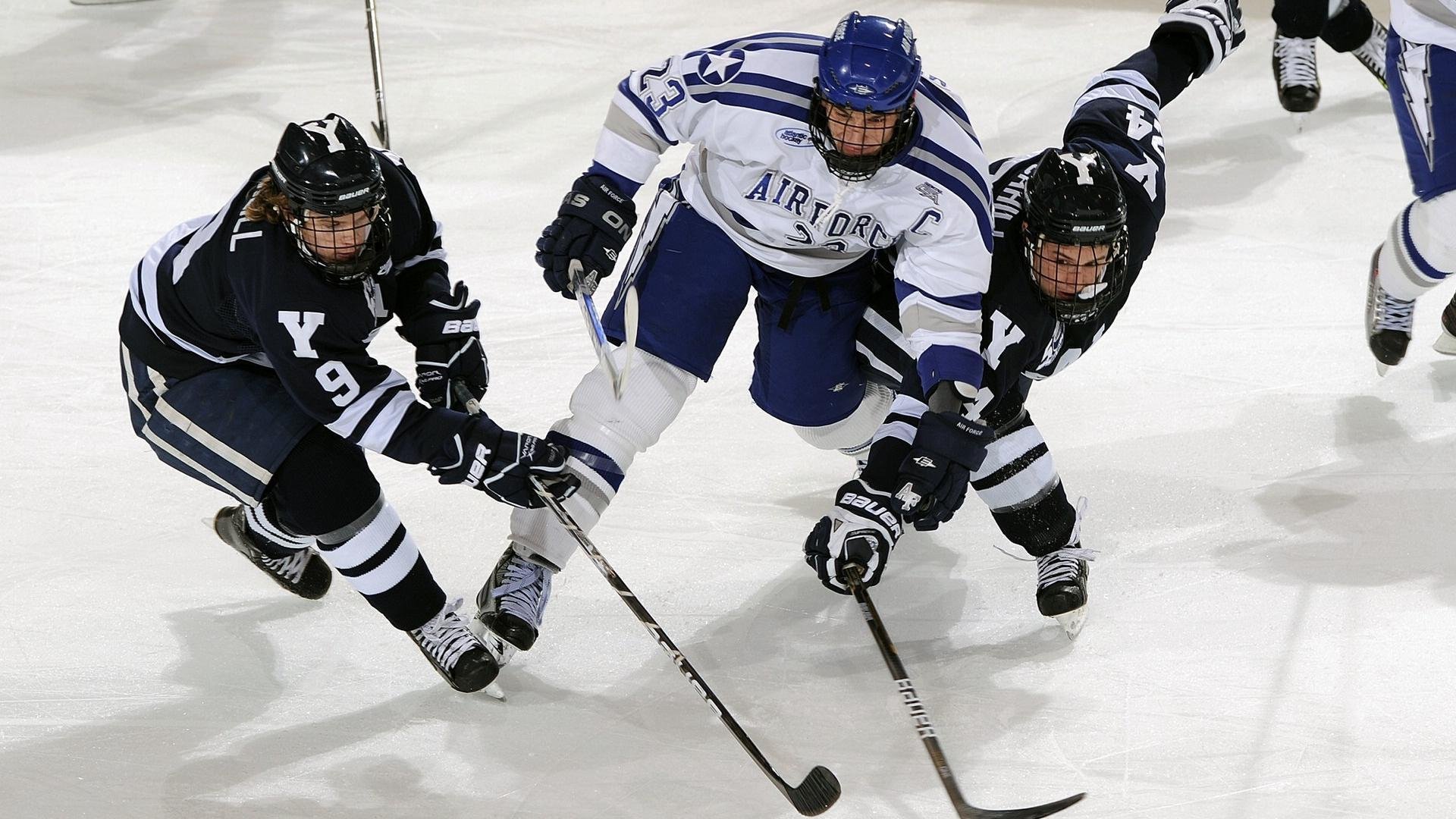 开云官网-“雪地皇者：冰天雪地中的霸者归来”，雪地黄金