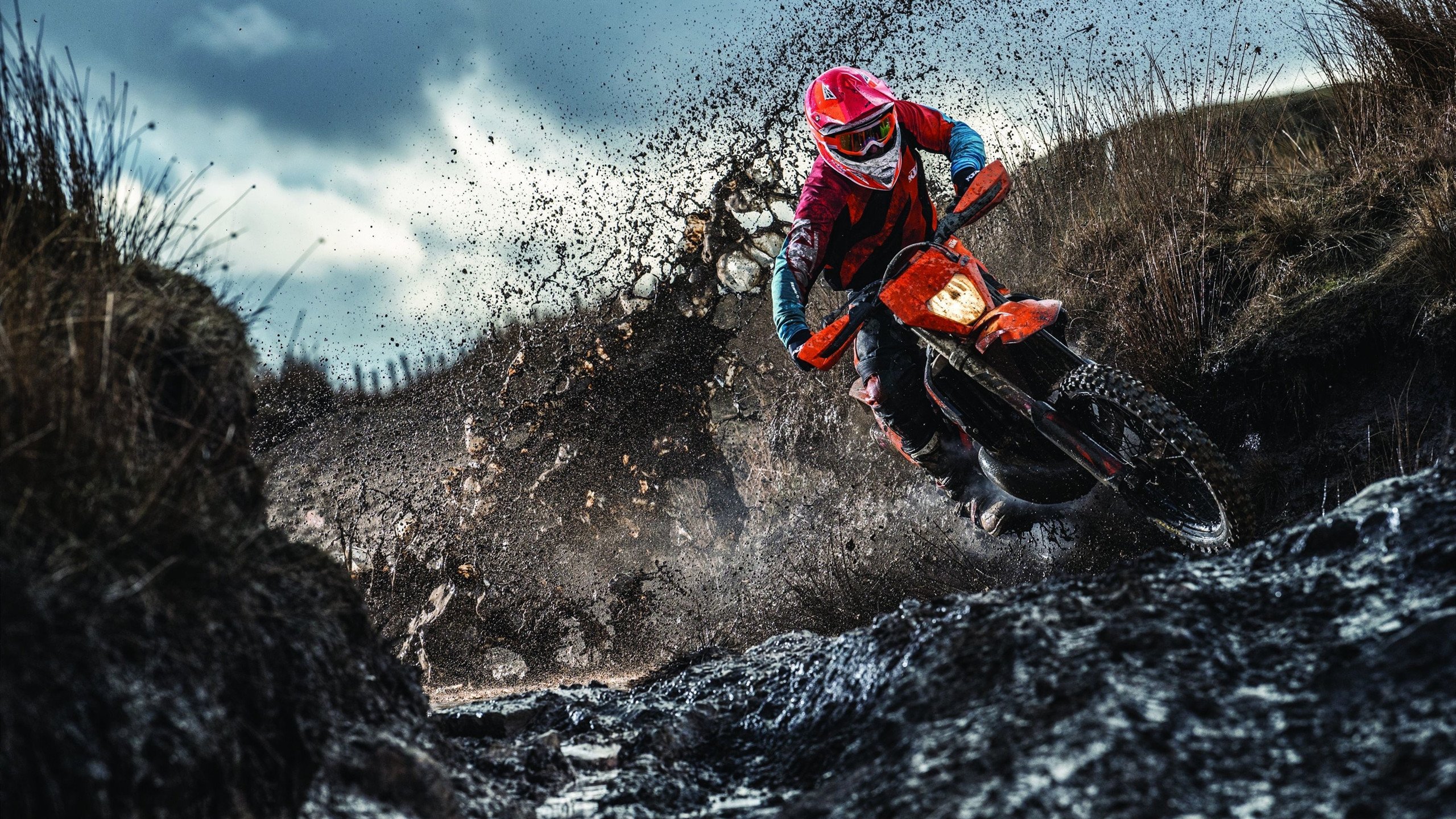 “龙队突围:爆发式逆境翻盘超出预料”,龙队照片